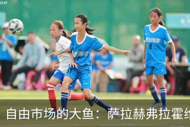自由市场的大鱼：萨拉赫弗拉霍维奇在列 桑乔或再回多特